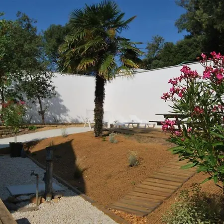 Sous Les Pins